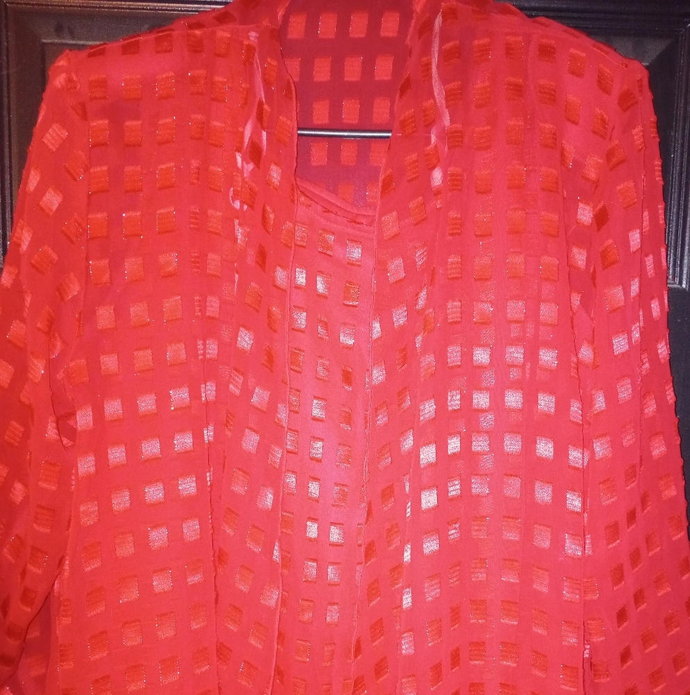 Women's Satin / Sheer 2pc dress set